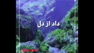 تقدیم سامان داداش کوچیکه