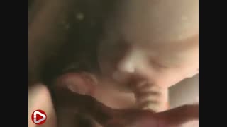 از چه زمانی چشم جنین در رحم باز می شود؟