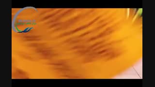 تریلر انیمیشن Sing