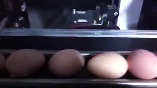 دستگاه cnc لیزر حکاکی روی تخم مرغ