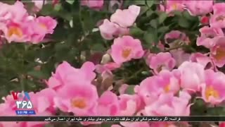 باغ گیاه شناسی نیویورک