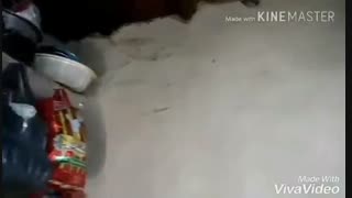 .پدرومادرمان فوت شده...حتماببینید