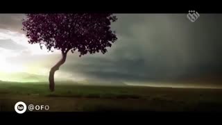 رسول لبخند خدا || نماهنگ || رضا صادقی