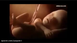 شگفتیهای خلقت انسان 1