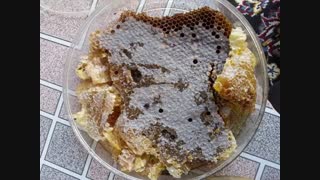 فروش عسل طبیعی و صد درصد درمانی