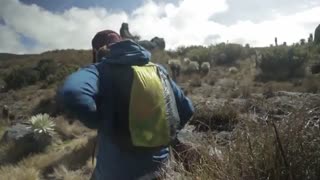 کوله پشتی کوهنوردی سی تو سامیت – Daypack