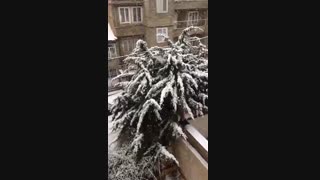 امروز تمامی مقاطع تعطیل شد ...