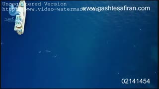 جزیره کاپری