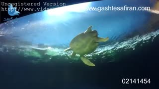 سلام ونکوور