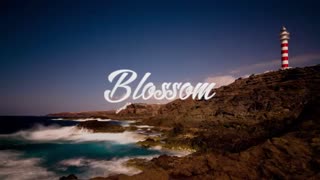 Not The King. Make Me Feel