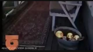 رزرو ویلا برای ایام نوروز / جورپین / اجاره ویلا