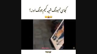 این از این از همه جا بی خبراس :》