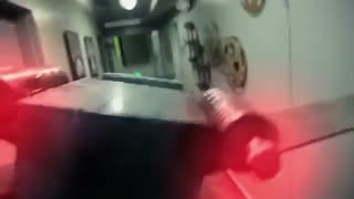 گربه به این میگن -ـــ-