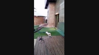 چوب پلاست آرک وود