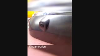 نصب آپشن های لکسوس NX