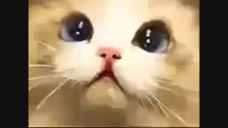 داستان عبرت انگیز ناک ...
