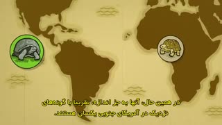 انتخاب طبیعی به زبان ساده