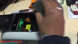 ریبون رنگی هایتی