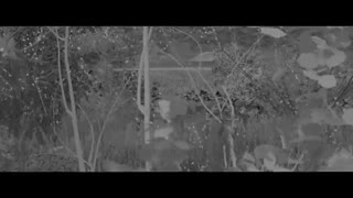 جلوه های ویژه سینمایی ایران -  جلوه های ویژه در سینمای ایران - آموزش جلوه های ویژه -جلوه های بصری