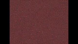 کاغذدیواری بونیتو Bonito