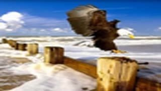 به ادرسه زیر مراجعه نمایید