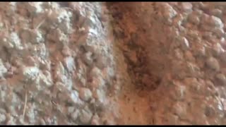 اجرای بتن سخت واستفاده از الیاف جانشین آرماتور