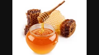 عسل کوهی