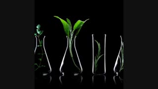 وقتی که علم و طبیعت به هم میرسند!