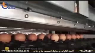خط بسته بندی تخم مرغ