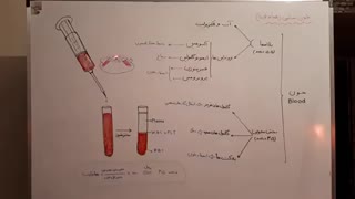 خون زیست شناسی دهم