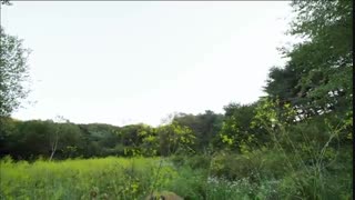 قسمت ( پایانی ) بیست و هشتم سریال کره ای ماسک عروس