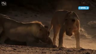 مستند سلاطین درحال نابودی با دوبله فارسی