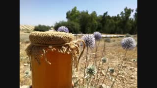 خرید عسل طبیعی