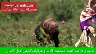فروشگاه آنلاین بارنلی