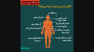 الکل با تن و جان ما چه میکند؟ |