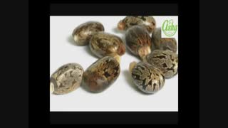 خواص روغن کرچک