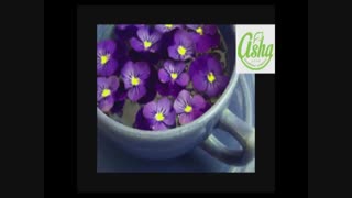 خواص روغن بنفشه