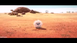 انیمیشن کوتاه و تاثیر گذار Bilby 2018