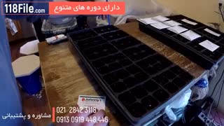 آموزش روشهای پرورش قارچ در منزل بصورت کامل