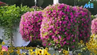 چند دقیقه حال خوب