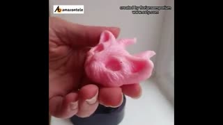 کاربرد رزین اپوکسی در ساخت گربه زیبا