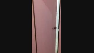 درب سرویس بهداشتی 09126852502