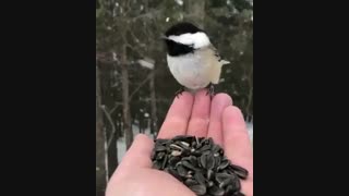 ای جوووون جیگرتو