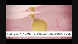 قیمت پک ضد جوش 5040-666-0902 ارسال رایگان سراسر کشور