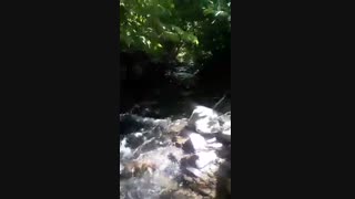 طبیعت زیبای دولت آباد چناران بام خراسان