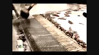 با 0 تا 100 شستشوی فرش در قالیشویی آشنا شوید