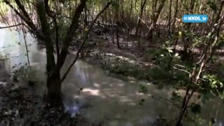 جزایر وحشی اندونزی با دوبله فارسی - قسمت 1
