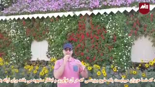 سرمایه گذاری با سرمایه کم