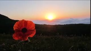 آهنگ رهائی با صدای افسانه چهره نگار