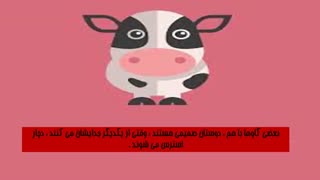 دانستنی ها - 22